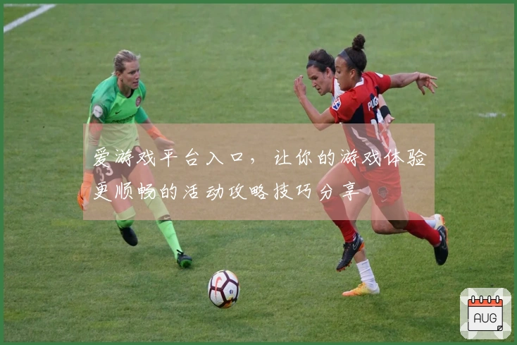 爱游戏平台入口，让你的游戏体验更顺畅的活动攻略技巧分享