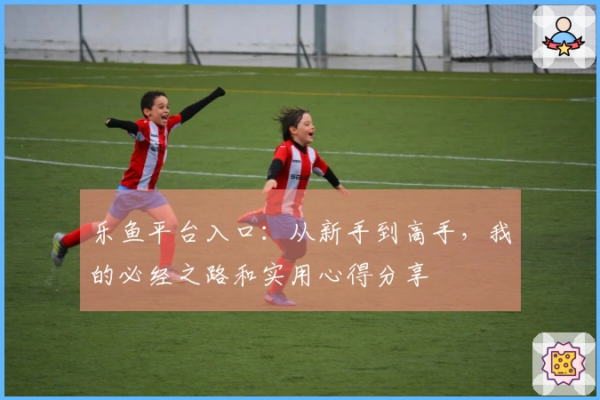 乐鱼平台入口：从新手到高手，我的必经之路和实用心得分享