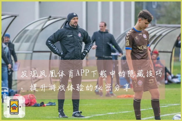 发现凤凰体育APP下载中的隐藏技巧，提升游戏体验的秘密分享