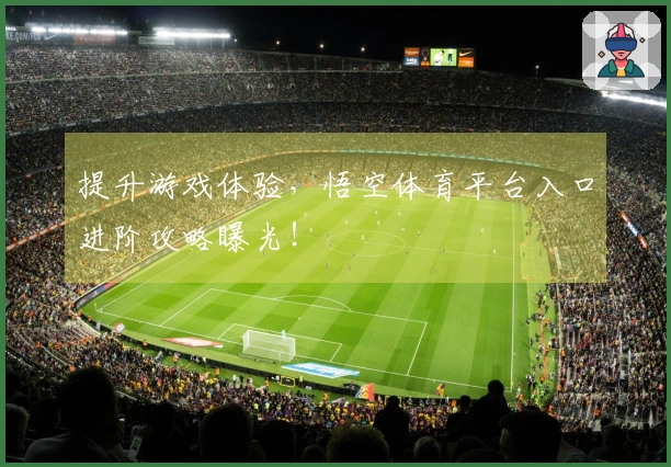 提升游戏体验，悟空体育平台入口进阶攻略曝光！