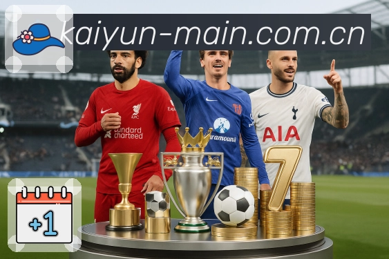 开云平台展示图